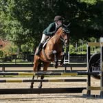 Haley Poole - @haleypequestrian - Instagram