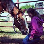 Hailey Dawn Privette - @horses_are_perfection__ - Instagram