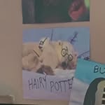 Haley Propst - @haleypropst - Instagram