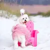 haleypurvis461 - @haleypurvis461 - TikTok