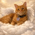 Haley Ramsey - Facebook