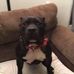 Hayley Richter - Facebook