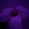 tori_welch231 - @haley_riddle24 - TikTok
