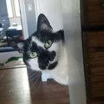 Haley Sackett - @haley.sackett.7 - Instagram