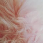 Haley Sage - @haley_sage_da_queen - Instagram