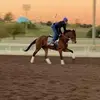 Mauro Cruz - @haleysage17 - TikTok