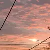 haley salazar - @dancel.04 - TikTok