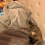 Haley Sample - @sample.haley - Instagram