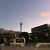 haley_ Sampson - @za_20106 - TikTok