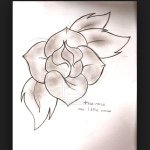 Haley Schaeffer - @lovelydrawings22 - Instagram