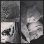 Hailey Lynn Schuster - @haileydraws2002 - Instagram
