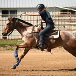 Haley Schuster - @haley_schuster_27 - Instagram