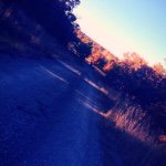 Haley Seifert - @fords_all_the_way333 - Instagram