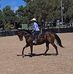 Hayley Brabant Selman - Facebook