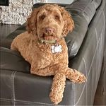 Rhonda Haley Sewell - @rhondahaleysewell - Instagram