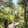 hayley shearer - @hayley.shearer - TikTok