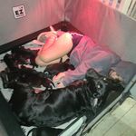 Haley - @haley_sheffield_19507 - Instagram