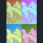 Haleys Shook - @haley._.shooks._.musical.lys - Instagram