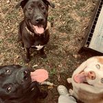 haley - @haley_shorty_3 - Instagram