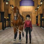 Star Stable Online Gamer - @haleyshortstone - Instagram