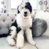 userHaley Silverman - @userhaley_silverman4 - TikTok