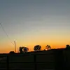 Haylee Silvers - @hayleesilverss - TikTok