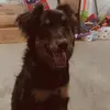 haleysingleton9 - @haleysingleton9 - TikTok
