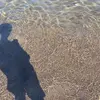 HaleySingleton - @waelcytdpq2 - TikTok