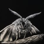 Art of Haley Skinner - @hskinnerart - Instagram
