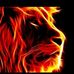 Haale Sleman - Facebook