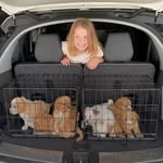 Haley smith - @animalcaresociety6608 - Instagram