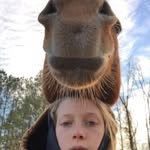haley snell - @haley.snell - Instagram