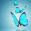 Haley Sommers - @haley.sommers6 - TikTok