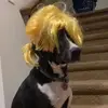 haley - @haleystrickersucks - TikTok