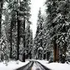 haleyteague853 - @haleyteague853 - TikTok