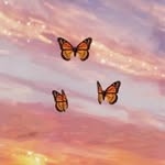 Haley Thigpen - @haley2544778 - Instagram