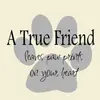 Haley_thorne_ - @haley_thorne_ - TikTok