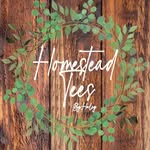 Haley Thurman - Homestead Tees Owner - @homestead.tees - Instagram