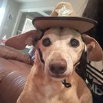 @hal.eytillman456 - Instagram
