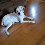 Tracy Haley-Schmuhl - @tracyhaleyschmuhl - Instagram