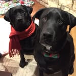 Haley_Tucker - @_haley_tucker_ - Instagram