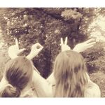 haley tyler - @_haley.tyler.musical_ - Instagram