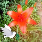 Hallie Tyner - Facebook