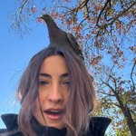 @haleyvandall - Instagram