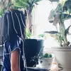 Haley Vang - @haleyv1100 - TikTok