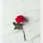 Haleigh Varner - @haleighz.spammm - Instagram