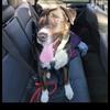 Hailey Waite - @haileywaite420 - TikTok