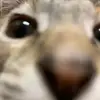 whaleyhaley0 - @whaleyhaley0 - TikTok