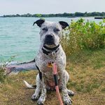 Haley Whelan - @haley_shark - Instagram