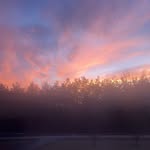 Haley whitlock - @haley_whitlock11 - Instagram